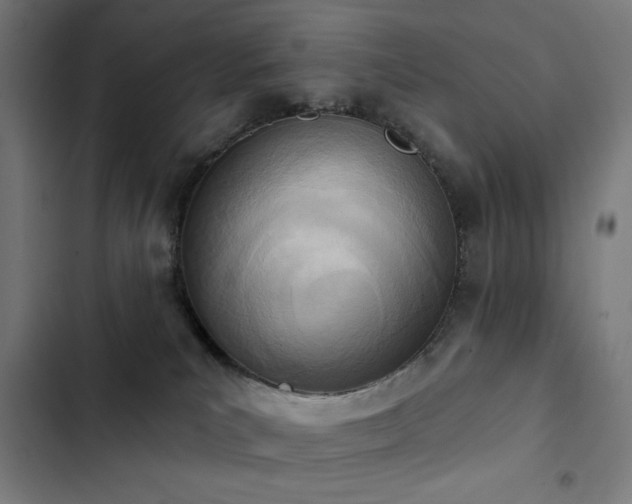 X0000103400039200809121252