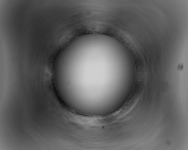 X0000103400040200809121252