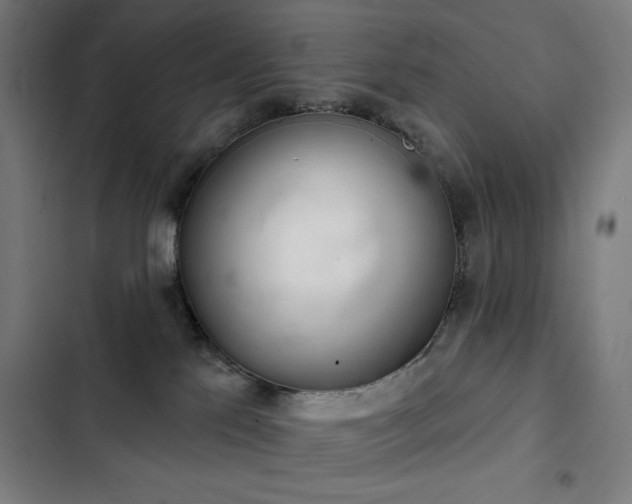 X0000103400041200809121252