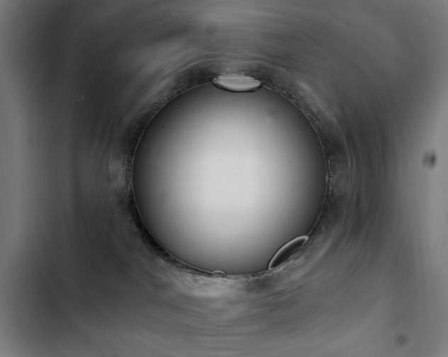 X0000103400044200809121252