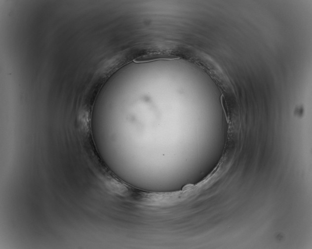 X0000103400045200809121252