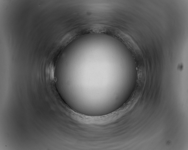 X0000103400046200809121252