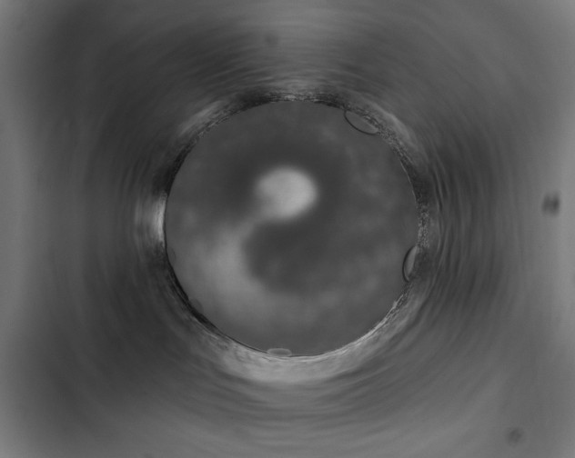 X0000103400047200809121252