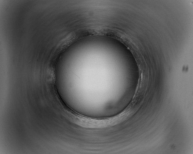 X0000103400048200809121252