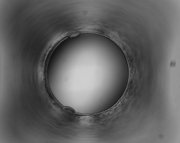 X0000103400050200809121251