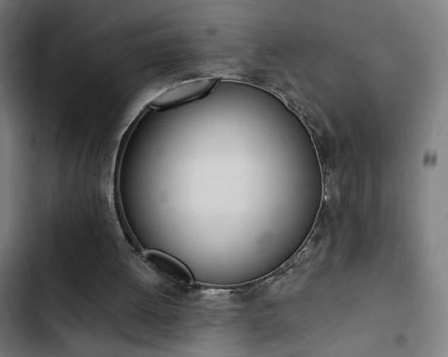 X0000103400052200809121251