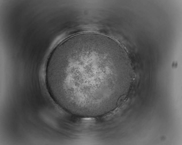 X0000103400053200809121251