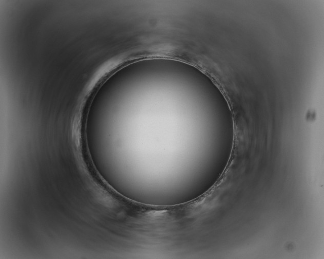 X0000103400054200809121251