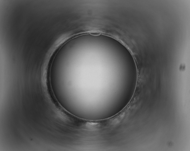 X0000103400055200809121251