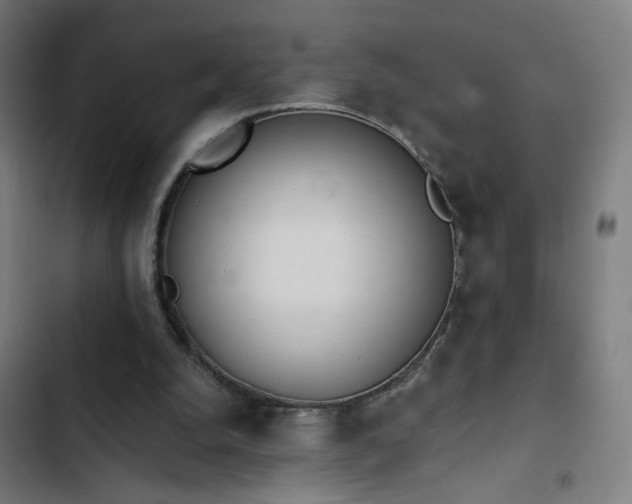 X0000103400056200809121251