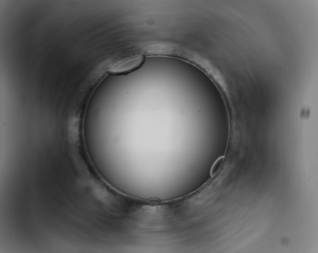 X0000103400057200809121251