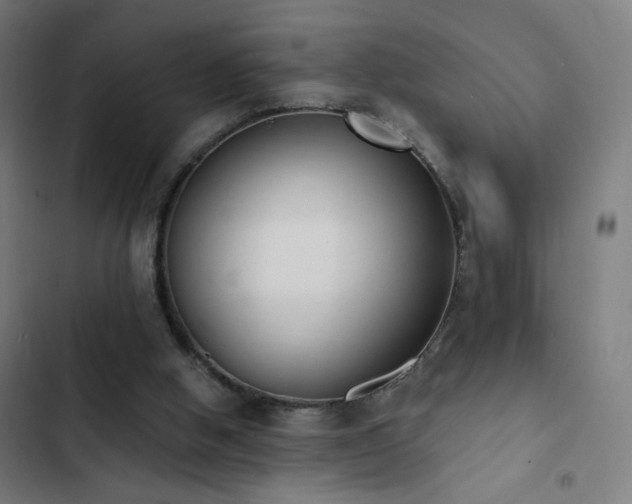 X0000103400058200809121251