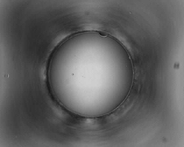 X0000103400060200809121251