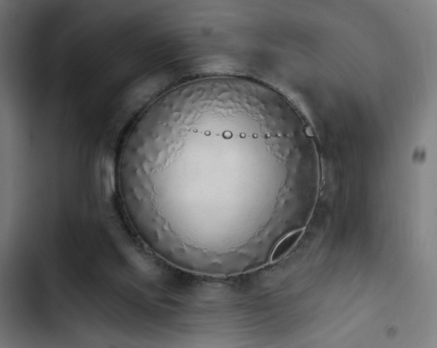 X0000103400061200809121251