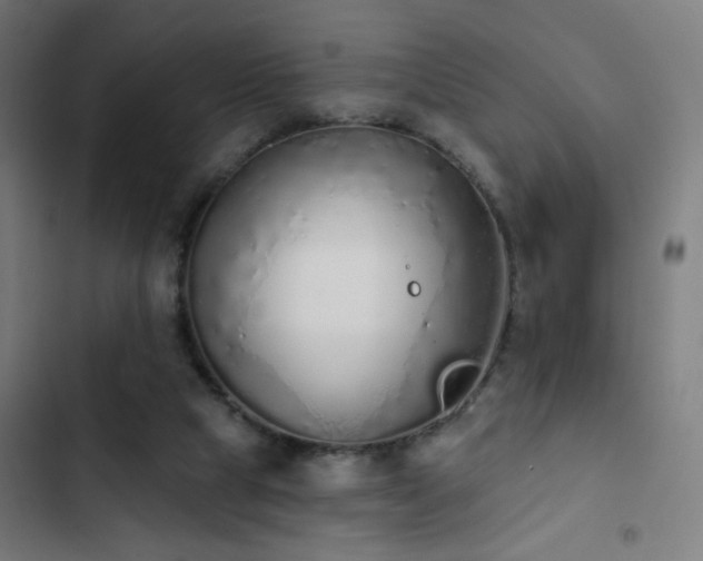 X0000103400065200809121252