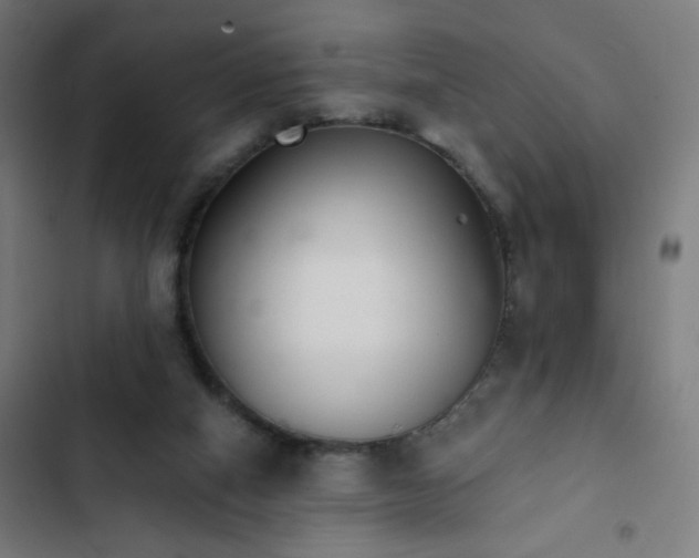 X0000103400066200809121252