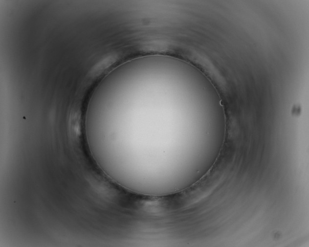 X0000103400068200809121252