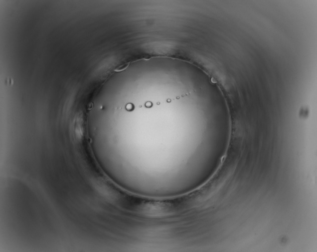 X0000103400069200809121252