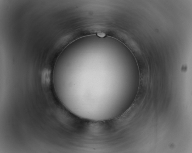 X0000103400070200809121252