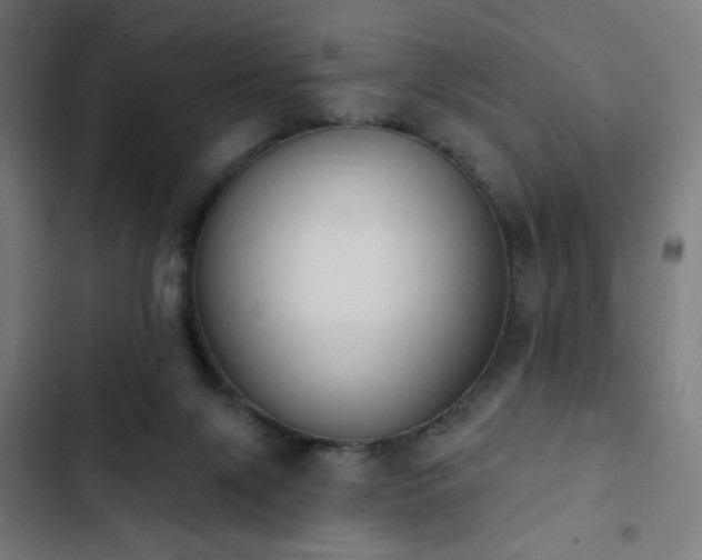 X0000103400071200809121252