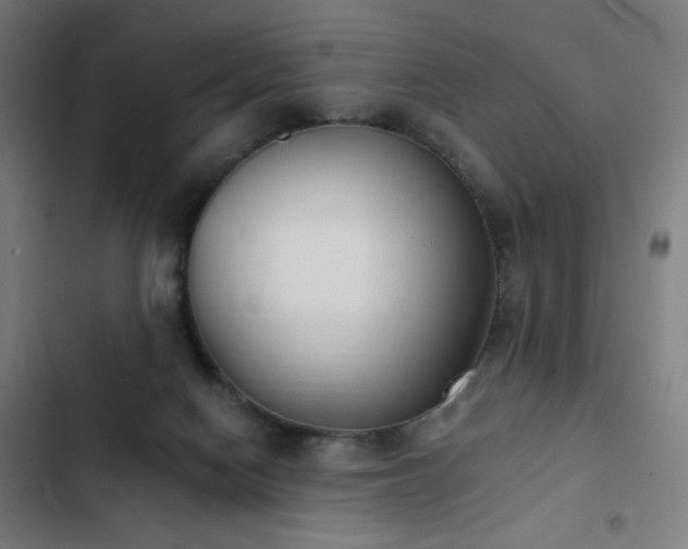 X0000103400074200809121252