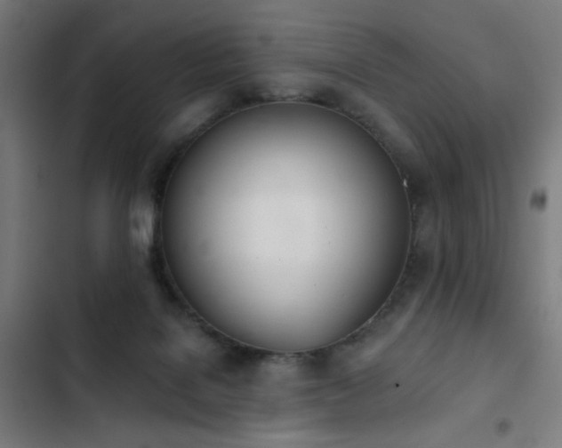 X0000103400076200809121252