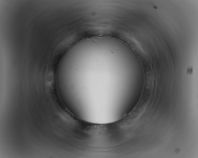 X0000103400077200809121252