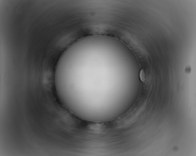 X0000103400079200809121252