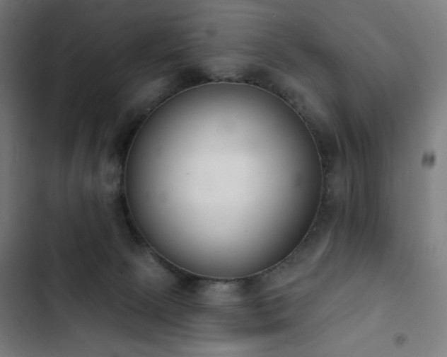 X0000103400081200809121252