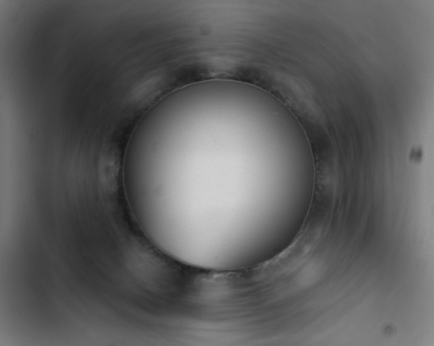 X0000103400082200809121252