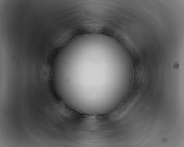 X0000103400083200809121252