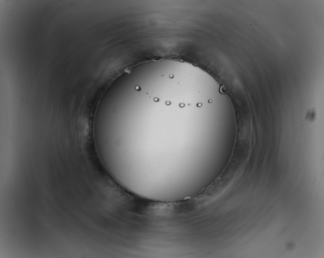 X0000103400084200809121252