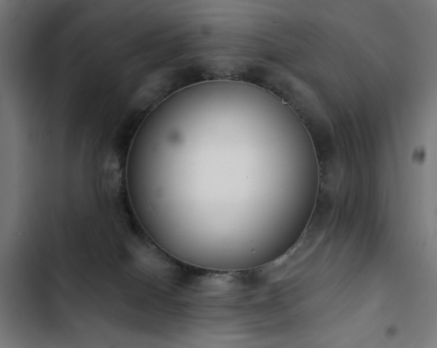 X0000103400086200809121252