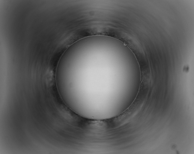 X0000103400087200809121252