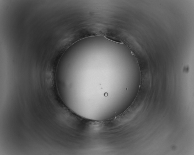 X0000103400088200809121252