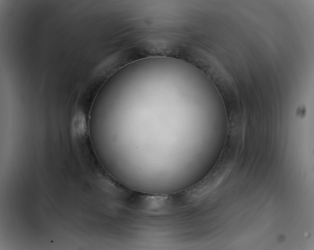 X0000103400089200809121252