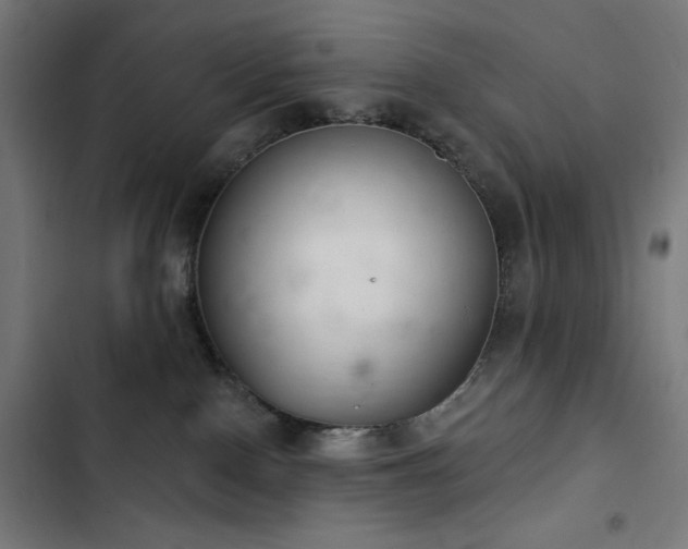 X0000103400090200809121252