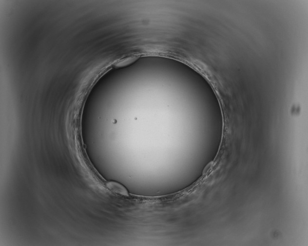 X0000103400097200809121251