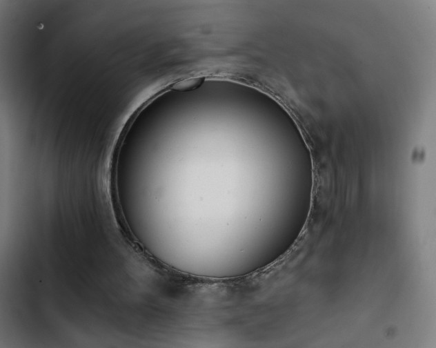 X0000103400100200809121251