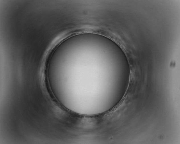 X0000103400101200809121251