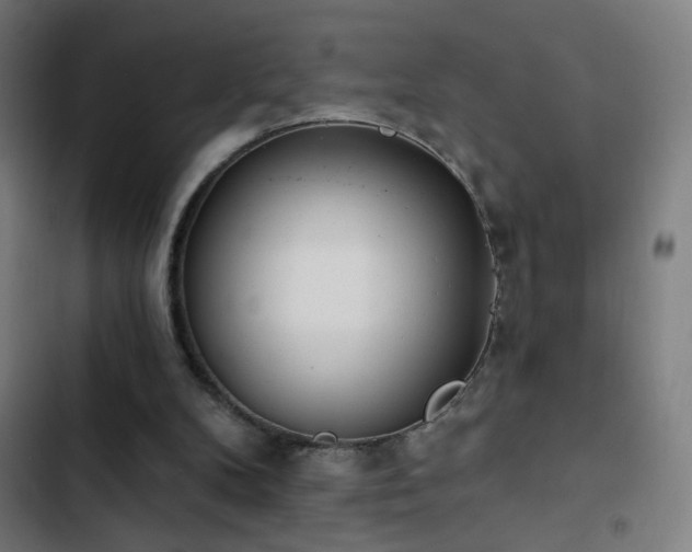 X0000103400104200809121251