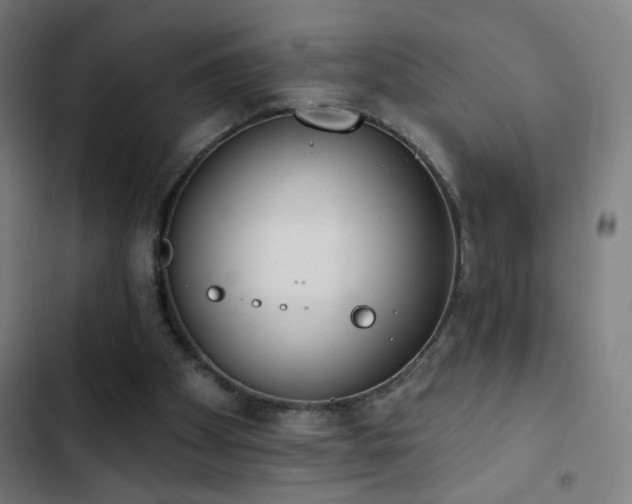 X0000103400105200809121251