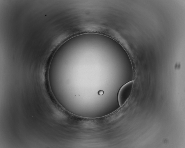 X0000103400106200809121251