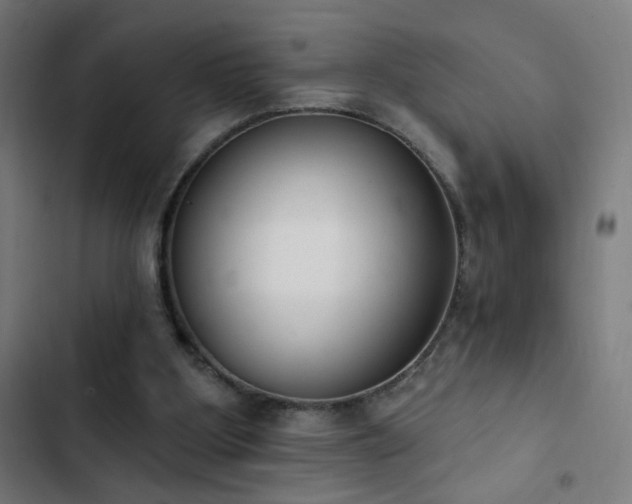 X0000103400107200809121251