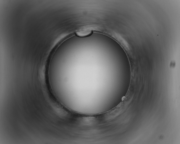 X0000103400108200809121251