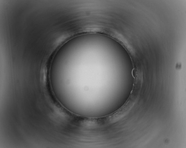 X0000103400110200809121251