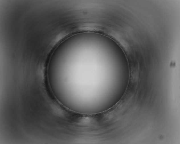 X0000103400111200809121251