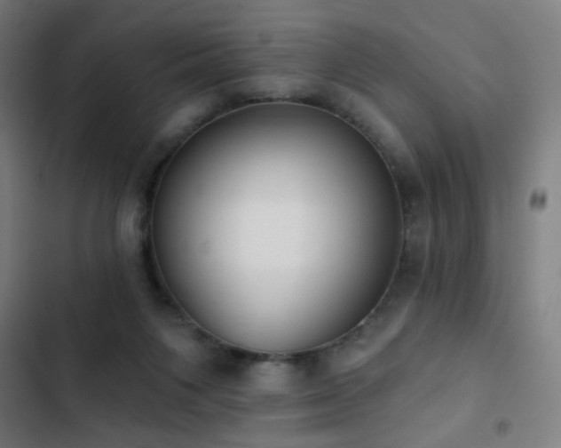 X0000103400119200809121251