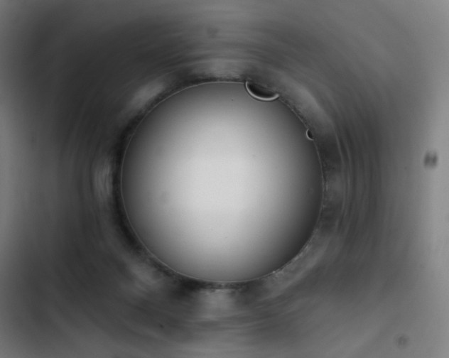 X0000103400120200809121251