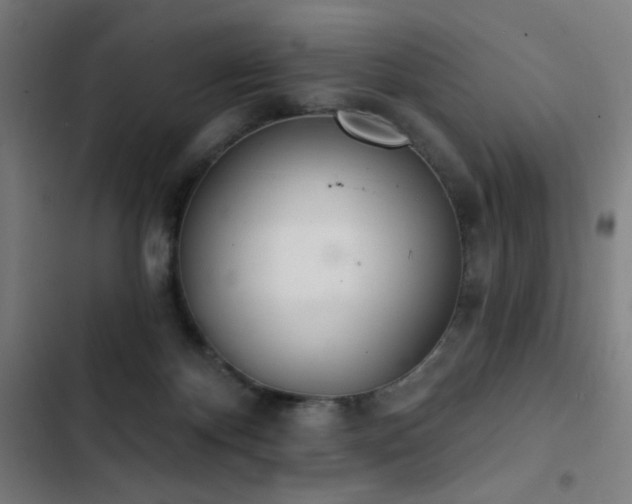 X0000103400124200809121251